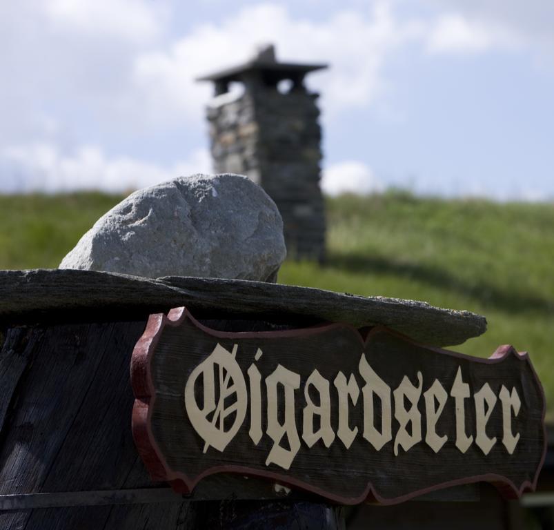 Oigardseter Fjellstue Hotel Høvringen Kültér fotó