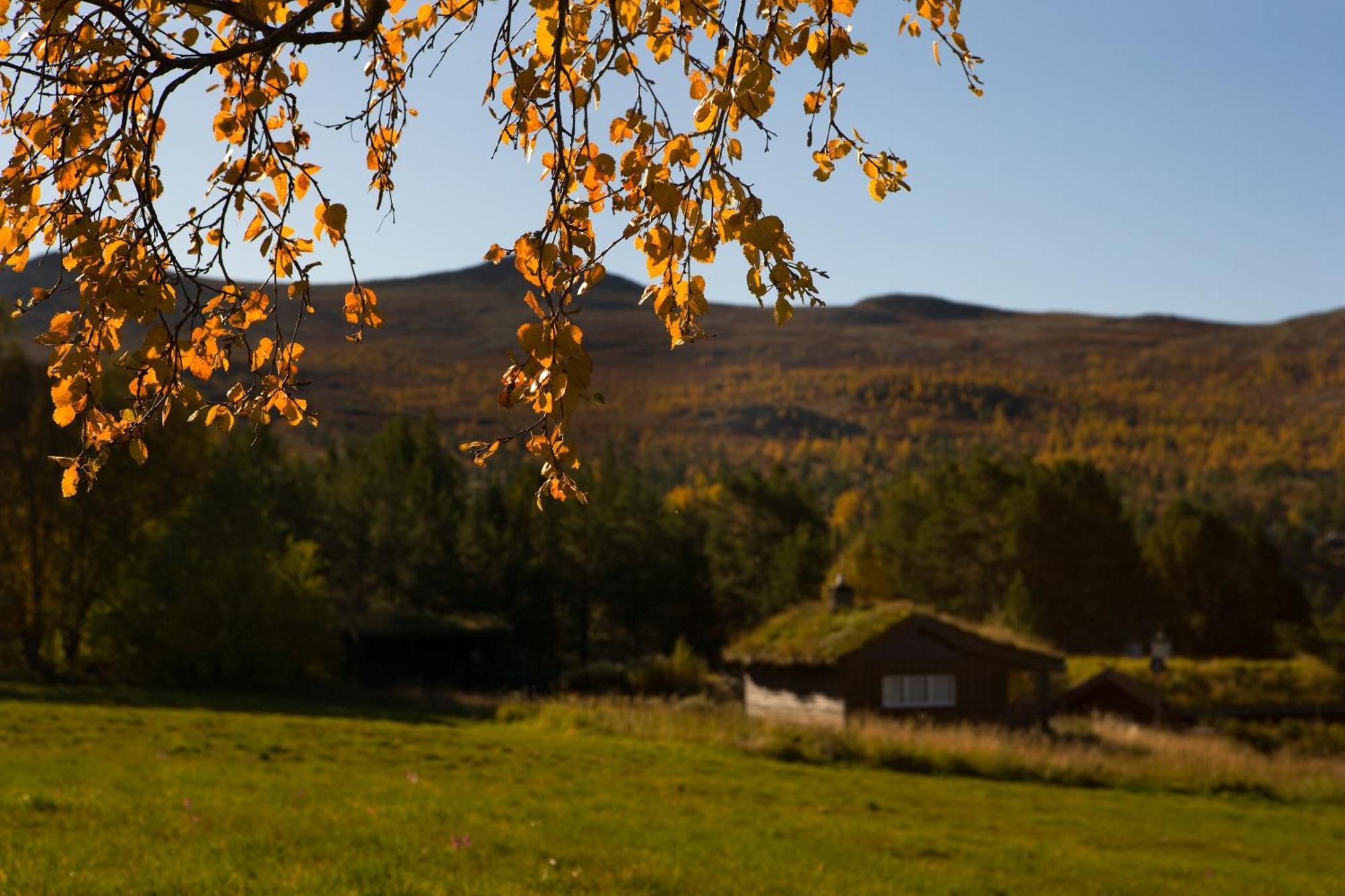 Oigardseter Fjellstue Hotel Høvringen Kültér fotó